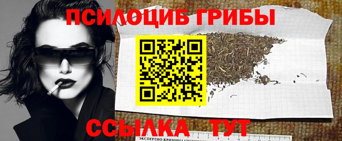 Псилоцибиновые грибы Psilocybe  Псилоцибиновые грибы Psilocybine cubensis  Раменское  даркнет сайт  Вход с VPN 